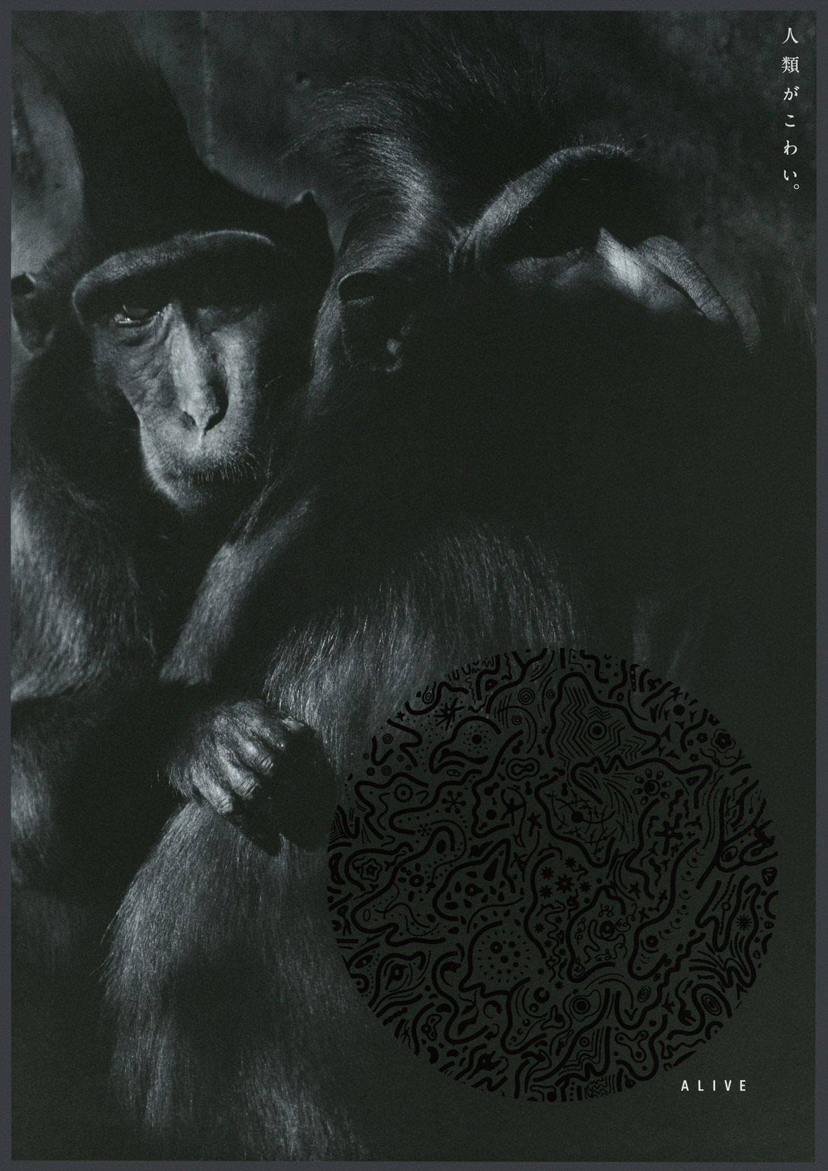 HIROMI INAYOSHI CI DESIGN [稲吉紘実のCIデザイン]